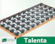 Otten Aura Talenta UV Tellerrahmen