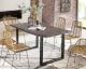 SIT Baumkante Massivholz Esstisch Grey