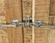 SIT »Frigo« Schrank