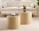 SalesFever »Ava« Couchtisch 2er Set eiche natur