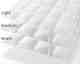 Sanders ClimaBalance Classic Daunendecken