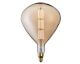 Sompex »tear E27« Leuchtmittel gold/titan Artikelbild 6