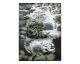 VOSS Design »Amazonas« Bild