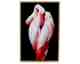 VOSS Design Glas-Bild Flamingo