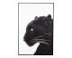 VOSS Design »Puma« Bild