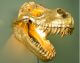 VOSS Design »Rexy« Wandleuchte gold