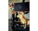 VOSS Design »Vienna« Dackel-Tischleuchte gold