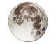 Zuiver »Moon« Teppich