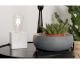 Zuiver Tischlampe Bolch