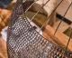 designline »Armor« Hängelampe