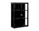 designline »Carlota« Hängevitrine 2 Türen