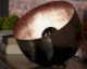 designline »Danti« Tischlampe