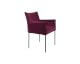 designline »Dion Velvet« Polsterstuhl mit Armlehne