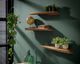 designline »Edge« Massivholz Wandregal 3er-Set