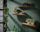 designline »Edge« Massivholz Wandregal 3er-Set