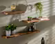 designline »Edge« Massivholz Wandregal Akazie