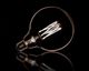 designline »Filament Globus« Leuchtmittel LED Ø 12,5 cm