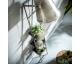 designline »Park« Wandlampe