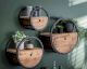 designline »Runde« Massivholz Wandregal mit Schublade