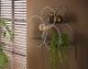 designline »circular« Wandregal XL