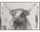 die Faktorei »Strong Bull« Wandbild