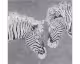 die Faktorei »Zebra Nr. II« Wandbild