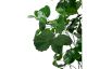 fleur ami »Begonia« Kunstpflanze Artikelbild 1