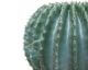fleur ami »Cactus Ball« Kunstpflanze