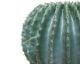 fleur ami »Cactus Ball« Kunstpflanze Artikelbild 1