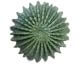 fleur ami »Cactus Ball« Kunstpflanze