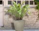fleur ami »Conical« Outdoor Pflanzgefäß olive grey