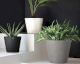 fleur ami »Conical« Outdoor Pflanzgefäß white
