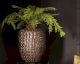 fleur ami »Croc« Outdoor Pflanzgefäß Artikelbild 6