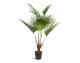 fleur ami »Fan Palm« Kunstpflanze Artikelbild 1