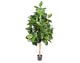 fleur ami »Ficus Elastica« Kunstpflanze Artikelbild 1