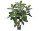 fleur ami »Ficus Elastica« Kunstpflanze