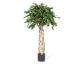 fleur ami »Ficus Exotica« Ball Kunstpflanze Artikelbild 6