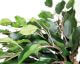 fleur ami »Ficus Exotica« Ball Kunstpflanze
