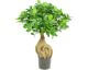 fleur ami »Ficus Panda Bonsai« Kunstpflanze Artikelbild 6