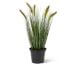 fleur ami »Foxtail Grass« Kunstpflanze Artikelbild 1