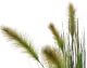 fleur ami »Foxtail Grass« Kunstpflanze Artikelbild 1