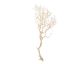 fleur ami »Manzanita« Deko-Holz sand blasted Artikelbild 1