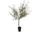 fleur ami »Olive Tree« Kunstpflanze Artikelbild 6