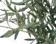 fleur ami »Olive Tree« Kunstpflanze
