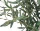 fleur ami »Olive Tree« Kunstpflanze Artikelbild 1