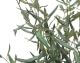 fleur ami »Olive Tree« Kunstpflanze