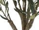 fleur ami »Olive Tree« Kunstpflanze
