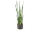 fleur ami »Sanservieria Cylindrica« Kunstpflanze Artikelbild 6