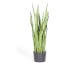 fleur ami »Sanservieria Extra« Kunstpflanze Artikelbild 6
