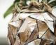 fleur ami »Shell« Orchideentopf brown